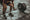 Image to render Image to render