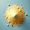 Coenzyme Q10
