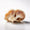 Hericium
